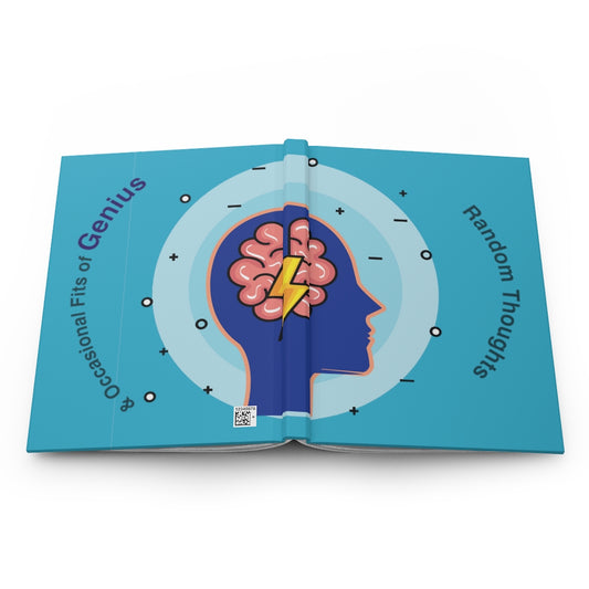 Occasionally Genius: The Daily Notebook