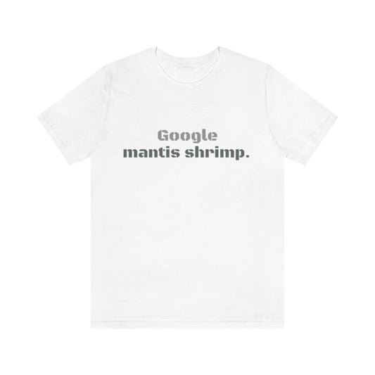 SOLOMON vs. MANTIS SHRIMP, the T-Shirt
