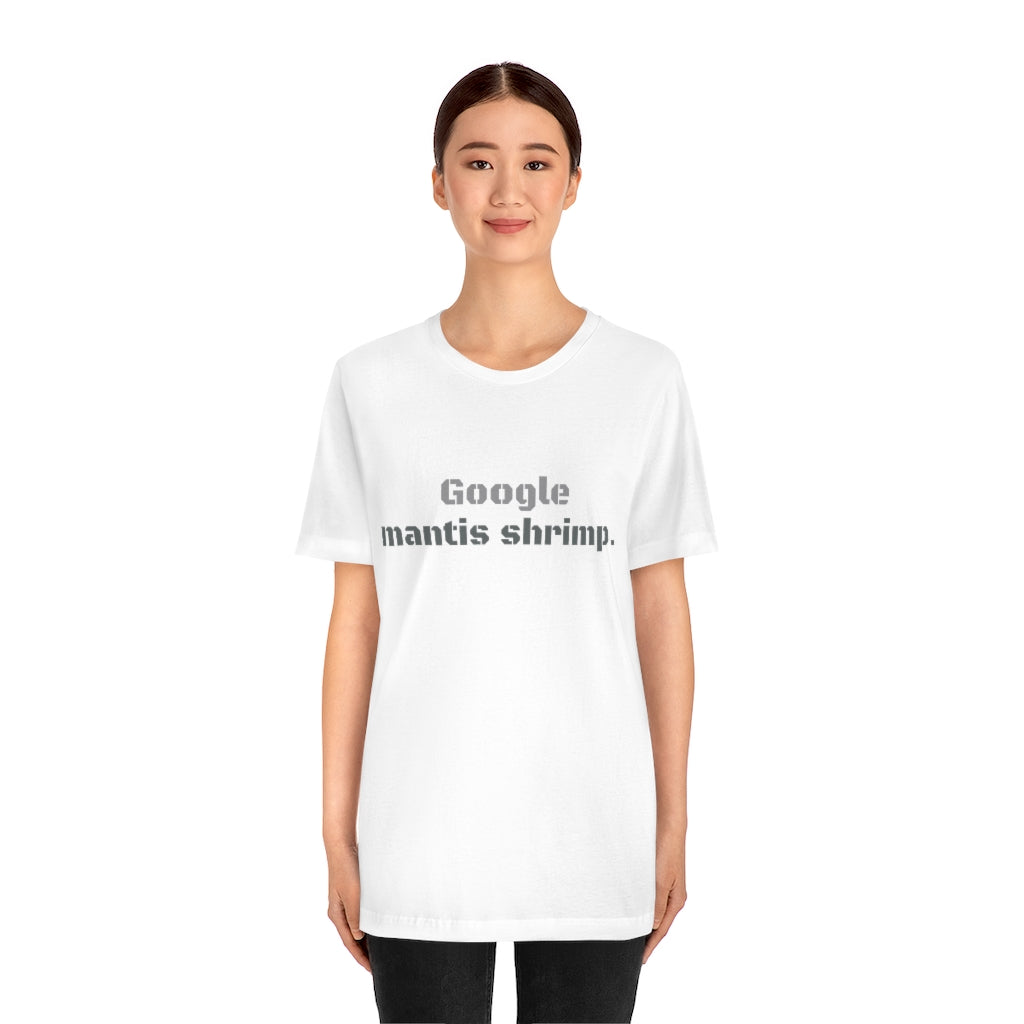 SOLOMON vs. MANTIS SHRIMP, the T-Shirt